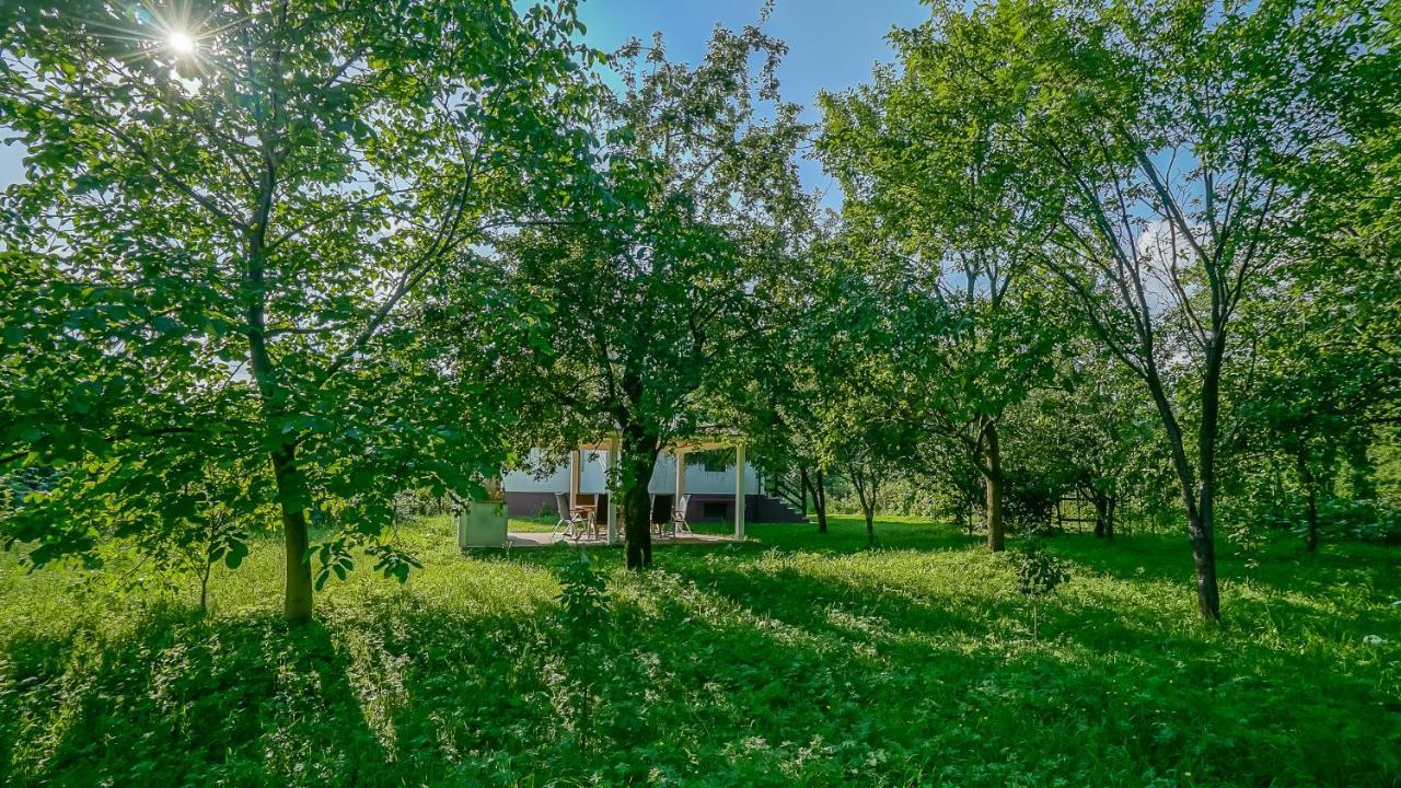 Vila Luna Comarnic Exteriör bild